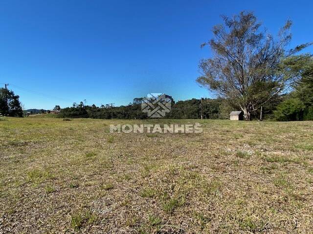 Terreno e Áreas para Venda em Campos do Jordão - 5