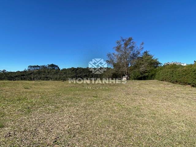 Terreno e Áreas para Venda em Campos do Jordão - 4