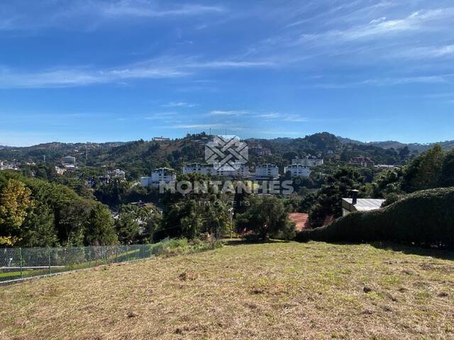 #1114 - Terreno e Áreas para Venda em Campos do Jordão - SP - 1