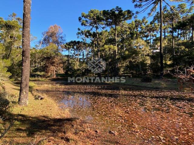 #1222 - Terreno e Áreas para Venda em Campos do Jordão - SP - 3